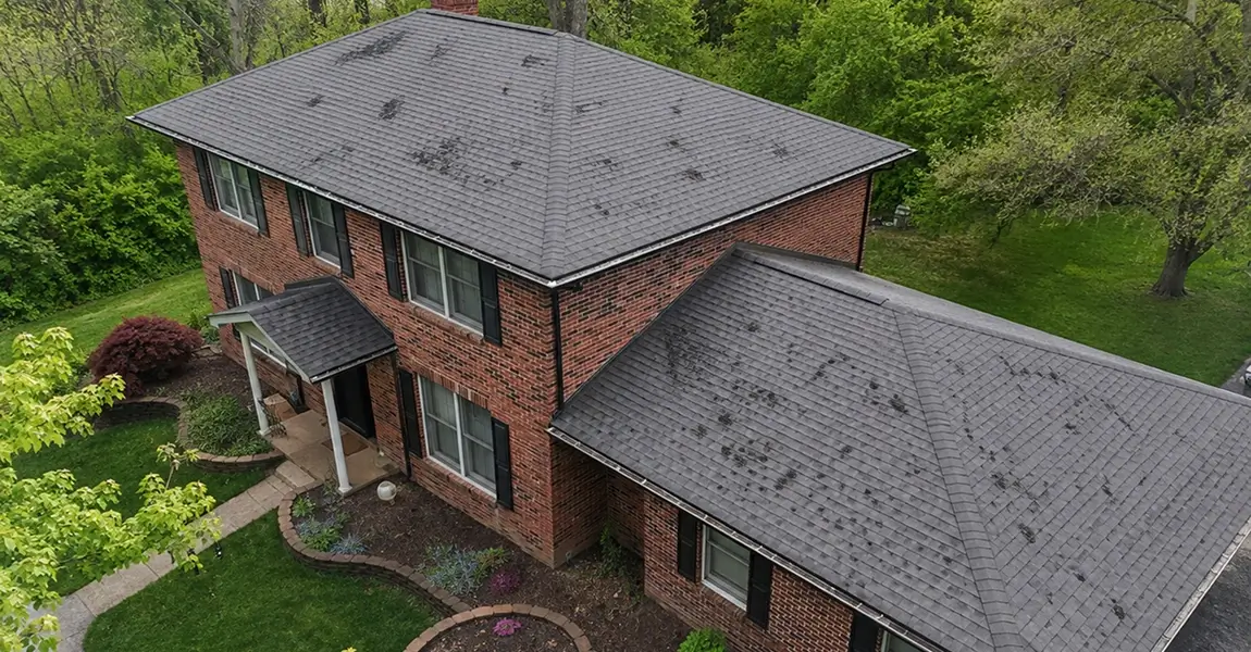 Birds eye view of hail damage in St. Louis County on asphalt shingle roof in Hazelwood Missouri showing granule displacement and impact bruise pattern